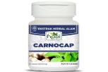 HNI Carnocap Suplemen Kesehatan Terbaik untuk Stamina dan Daya Tahan Tubuh